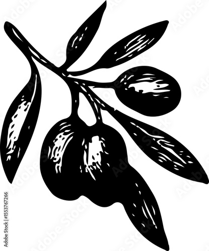 Classic Mediterranean olive branch with textured leaves and natural elegance