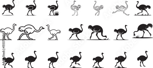 Black and White Ostrich Silhouettes Various Poses bird