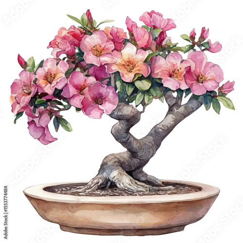 Φωτογραφία watercolor of A Desert Rose Bonsai, vector, isolated on a white background