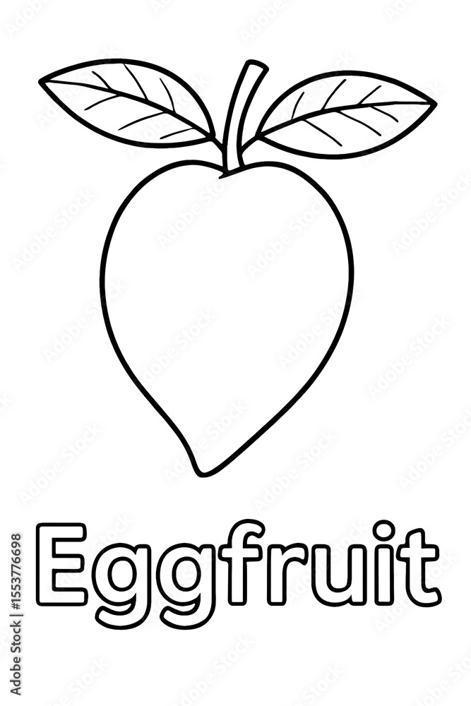 Fototapeta premium Eggfruit Coloring Page Simple Line Drawing of Tropical Fruit