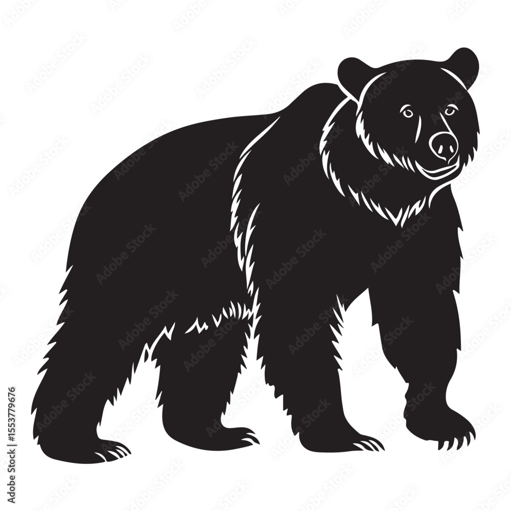 Fototapeta premium Black bear silhouette isolated on white