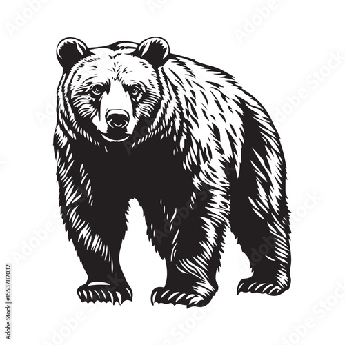 Black bear silhouette isolated on white 