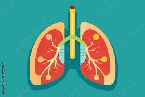 Detailed flat illustration of a human lung organ showcasing its internal structure and color composition on a turquoise background