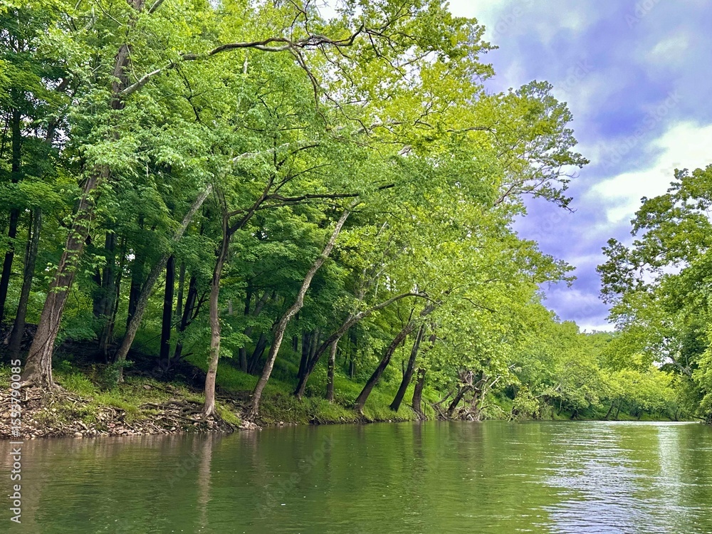 Fototapeta premium River Bank on New River VA