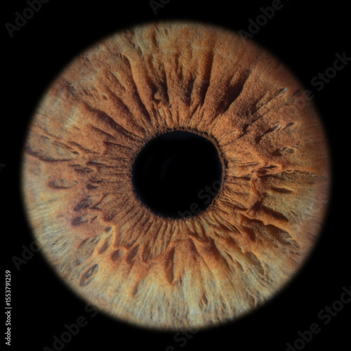 hazel eyes