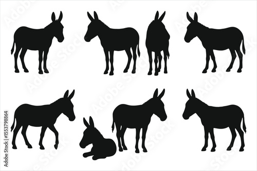 Donkey silhouette on white background