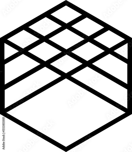 Polygon with thick straight lines intersecting across the shape forming internal linear divisions.
