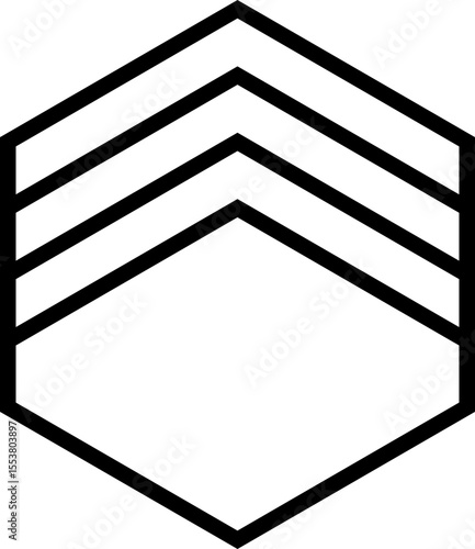 Polygon defined by a thick outer line and straight internal lines radiating from the center or edges.