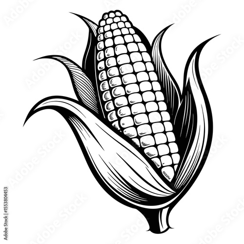 ear of corn