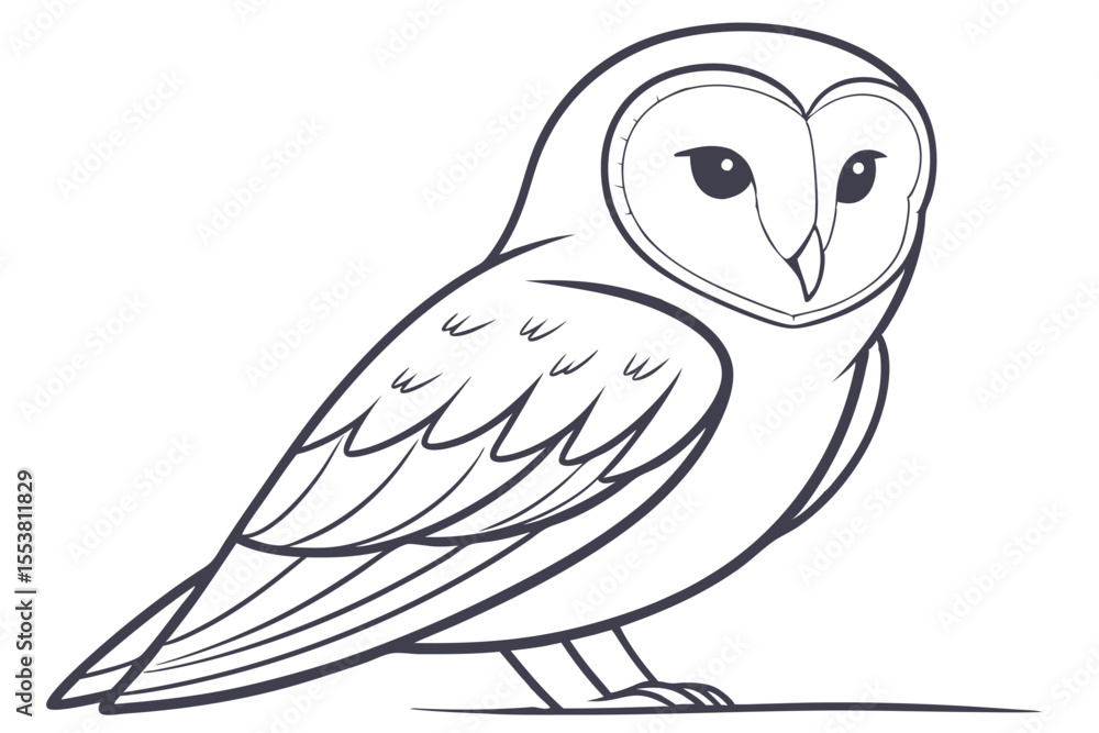 Barn Owl on White Background Illustration Barn Owl on White Background Illustration
