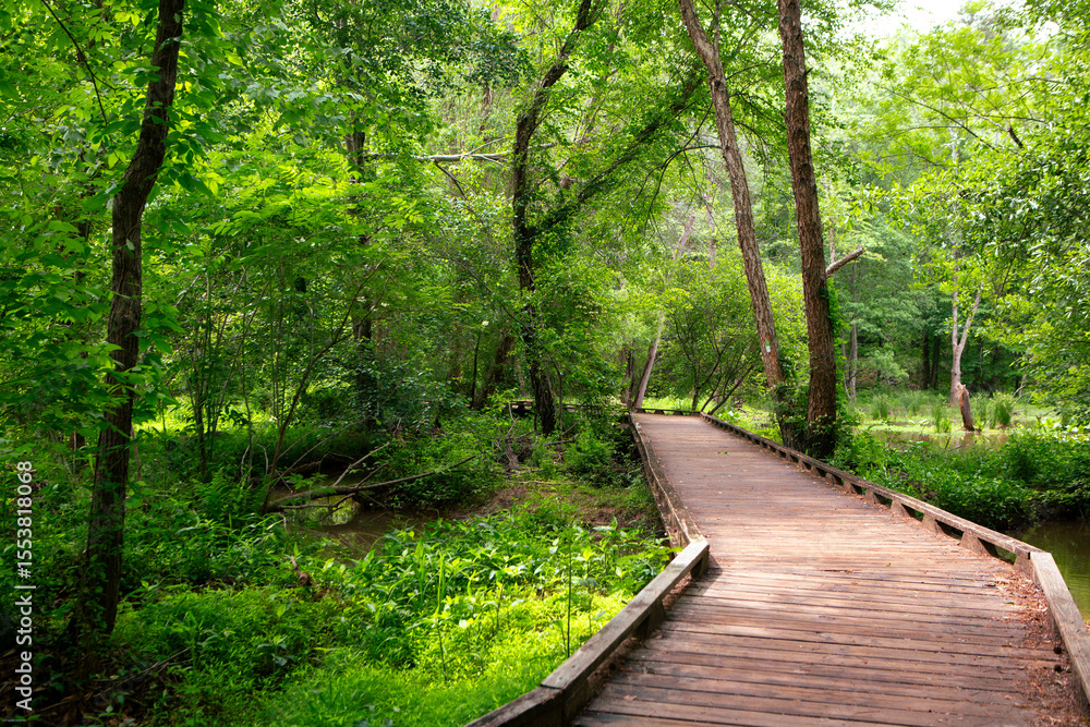 The Path Forward The Path Forward