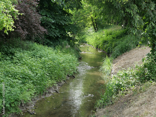 Foto creek rivulet in wilderness background