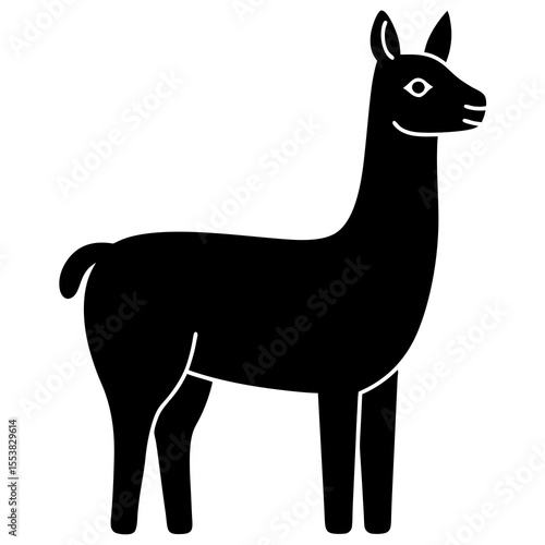 llama on white background