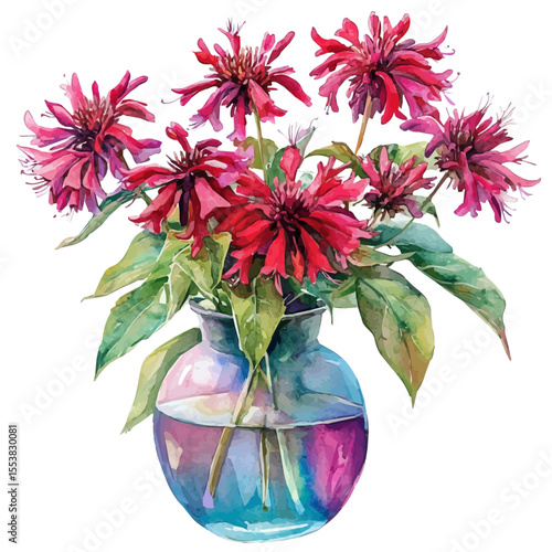 A Bee Balm In A Vase, watercolor illustration vector, isolated on a white background.
