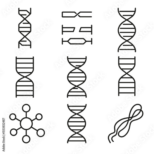 DNA Structure Icons. Outline style icons of DNA Structure: sugar phosphate backbone, nitrogen base pairs, twisted spiral, strand