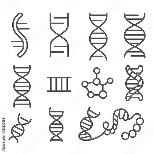 DNA Structure Icons. Outline style icons of DNA Structure: sugar phosphate backbone, nitrogen base pairs, twisted spiral, strand