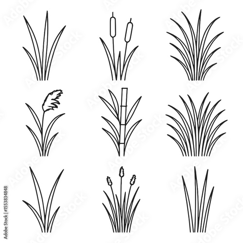 Swamp Plants Icons. Outline style icons of Swamp Grasses and Reeds: tall sedge blades, bulrush stems, cordgrass tuft, common reed