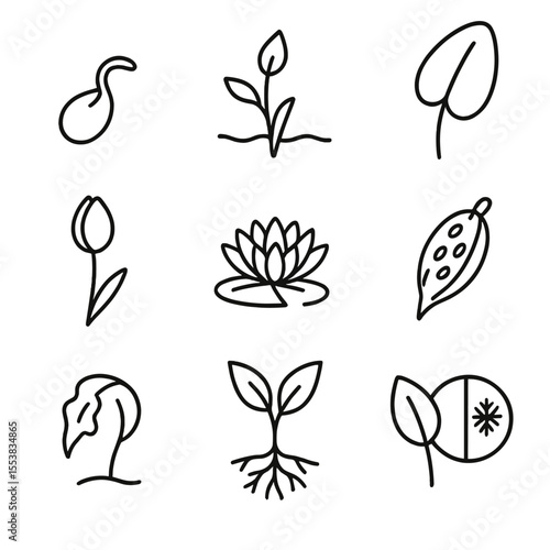 Swamp Plant Lifecycle Icons. Outline style icons of Swamp Plant Growth Stages: sprouting seed, young aquatic shoot, maturing leaf,