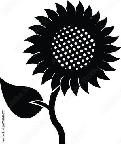 A single sunflower head is depicted with its face turned downwards and one wilted leaf isolated on white background isolated on transparent background