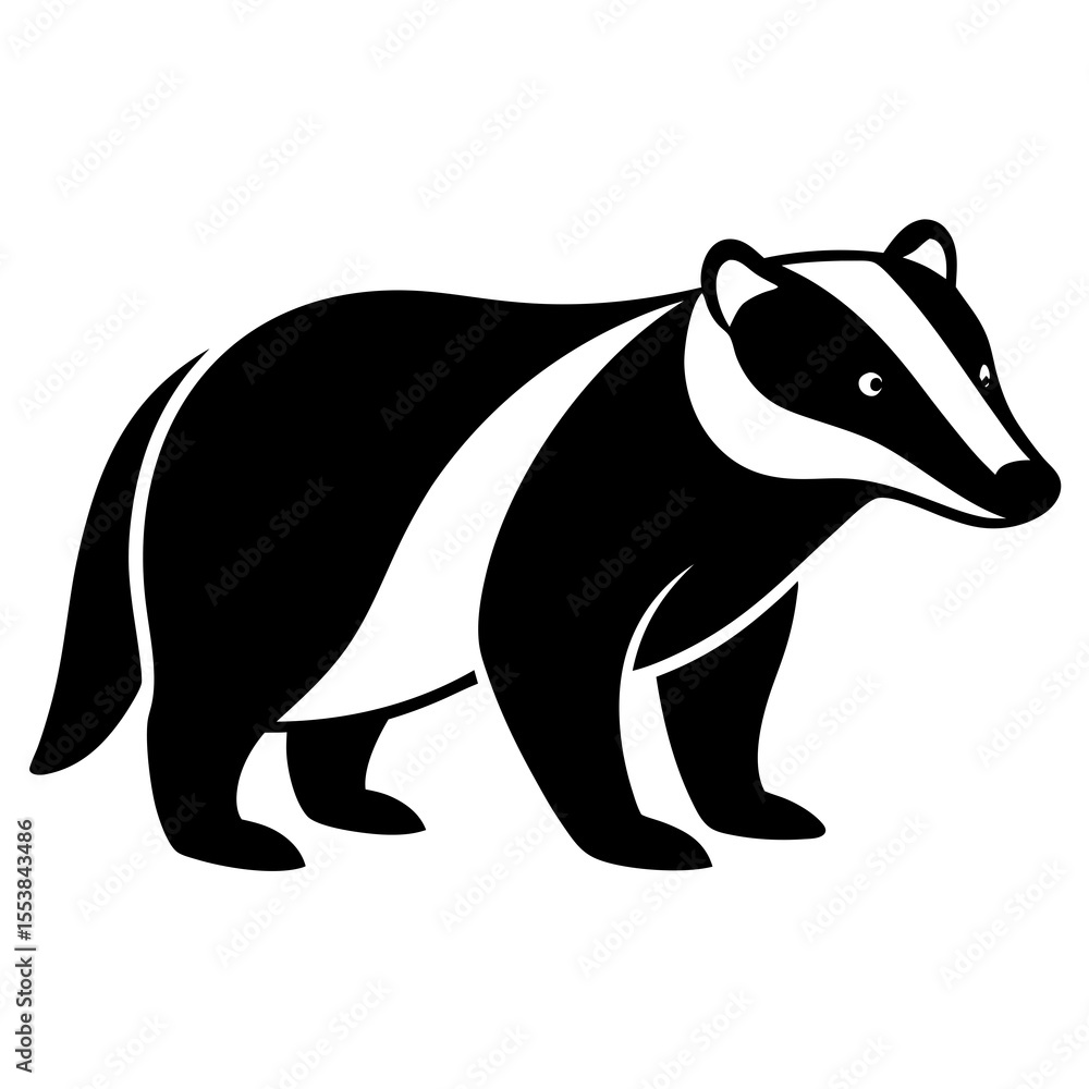 Fototapeta premium badger on white background