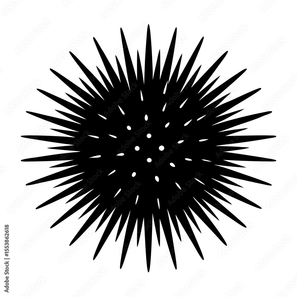 Fototapeta premium sea urchin on white background