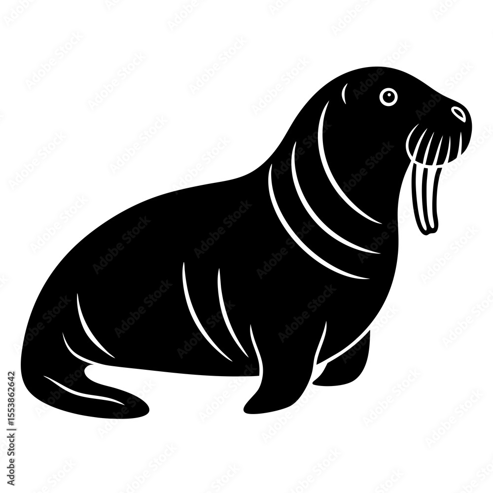 Fototapeta premium vector illustration of seal