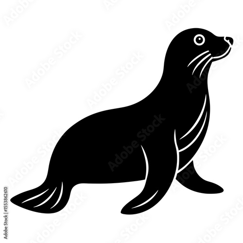sea lion vector illustration