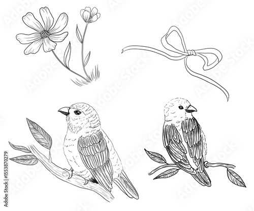 lineart garden elements clipart