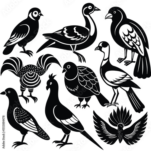 A vibrant colorful vector illustration of various birds, showcasing diverse species in a unique collection, depicted in a modern illustration style.