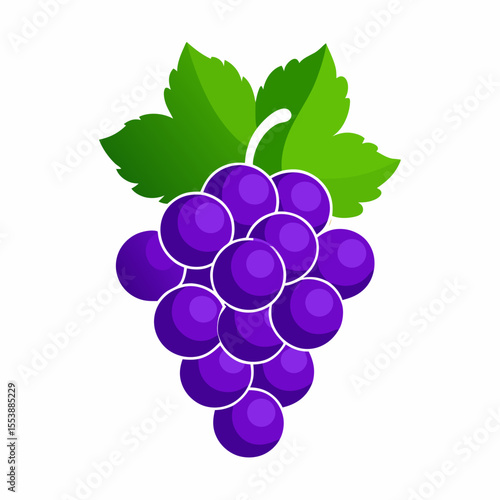 bunch of grapes isolated on white