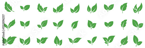 Green leaf icons set. Leaves icon set. Collection green leaf. Elements design for natural, eco, vegan, bio labels. Flat Green Leaf Icon Set, Eco, Bio, Vegan Symbols for Nature and Organic Design. 