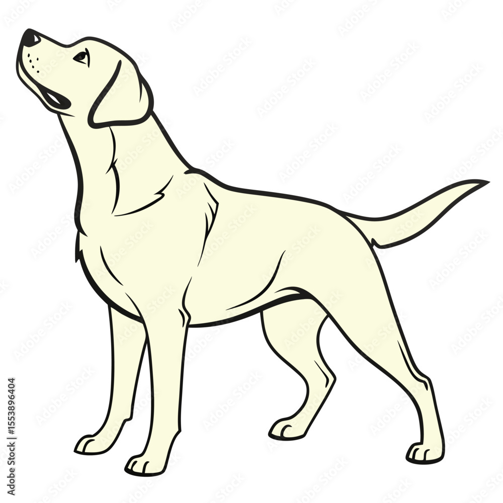 White Labrador Dog - Loyal Pet Illustration White Labrador Dog - Loyal Pet Illustration