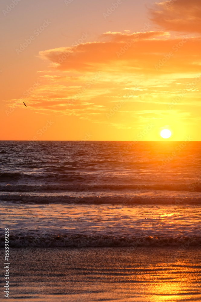 Fototapeta premium sunset over the sea