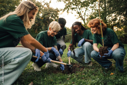Group of volunteers planting a tree in the park