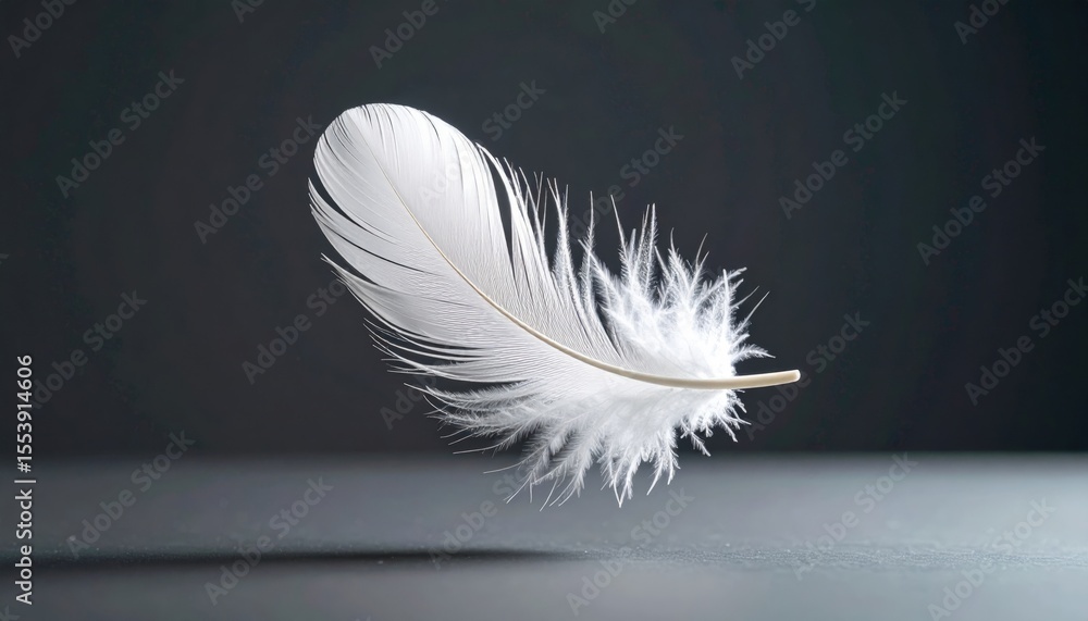 Obraz premium Delicate White Feather In Flight Against Dark Background