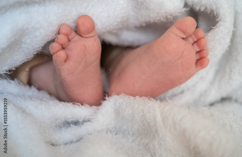 newborn baby feet in blanket newborn baby feet in blanket