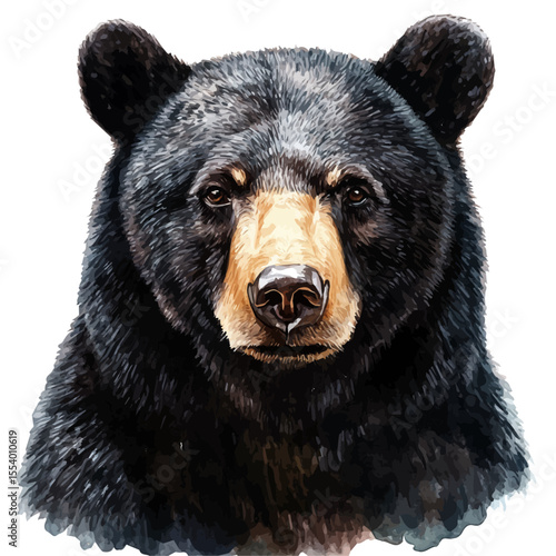 Black Bear Close Up, watercolor illustration vector, isolated on a white background.