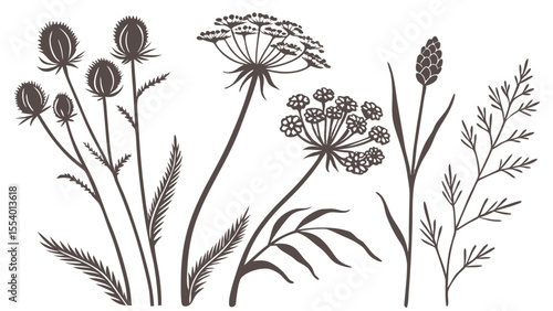 Vintage Wildflower Botanical Sketches – Hand-Drawn Floral Silhouettes