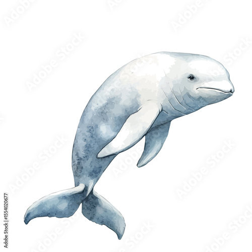 watercolor vector of Beluga Whale, isolated on a white background.
