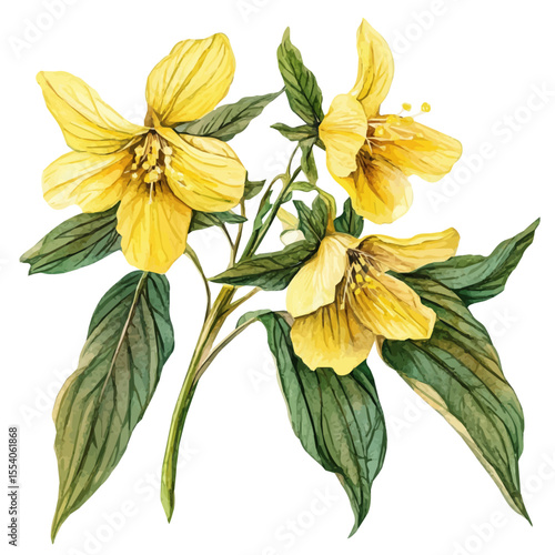 A Yellow Archangel Bouquet, watercolor illustration vector, isolated on a white background.