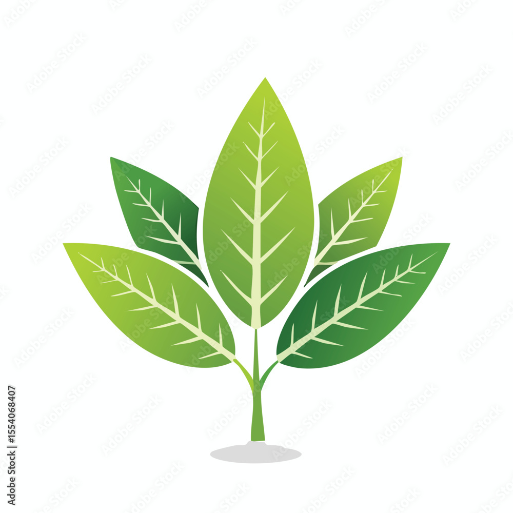 Naklejka premium Green leaves plant sprout with white veins and subtle shadow nature