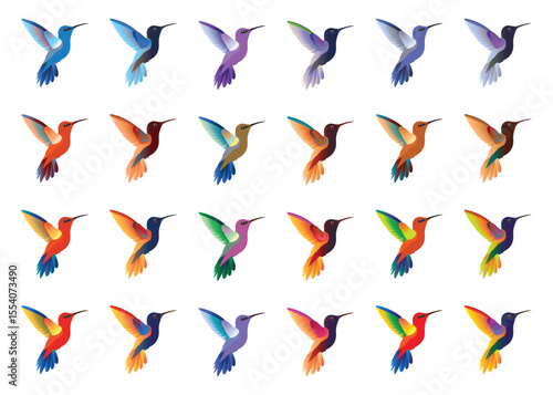 Set of colorful hummingbirds isolated on background. Vector illustration.illustration.