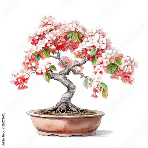 A Viburnum Bonsai, watercolor drawing vector, isolated on a white background.