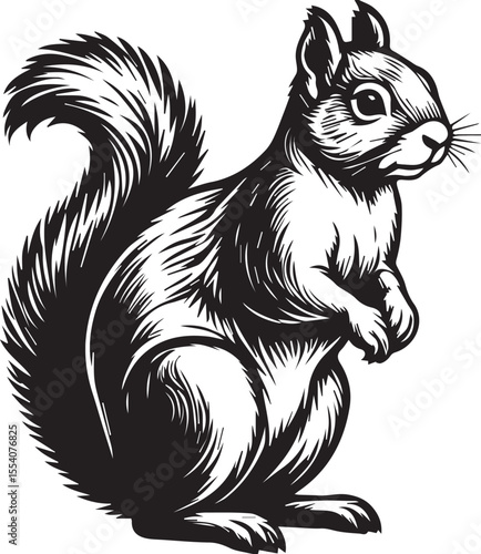 Wallpaper Mural Detailed Hand Drawn Squirrel Illustration Torontodigital.ca