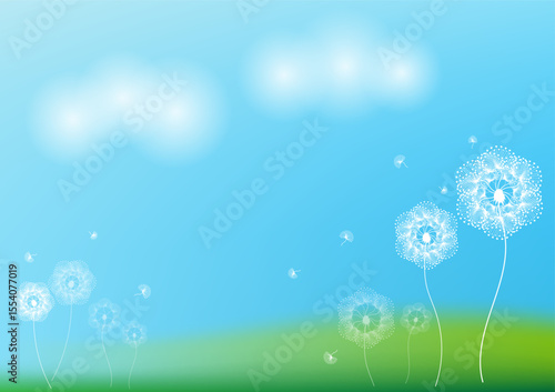 White dandelion flower on meadow background.