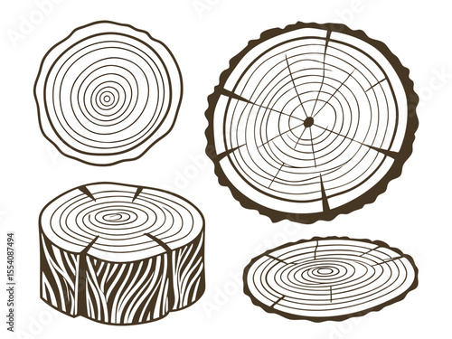 Wood Grain and Tree Cross Sections – Hand-Drawn Rustic Texture Pack