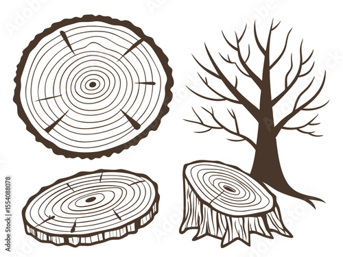 Wood Grain and Tree Cross Sections – Hand-Drawn Rustic Texture Pack
