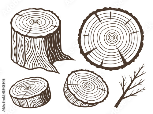 Wood Grain and Tree Cross Sections – Hand-Drawn Rustic Texture Pack