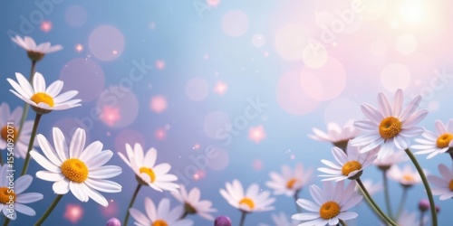 Enchanted Meadow of Delicate White Daisies with Soft, Dreamy Pastel Background