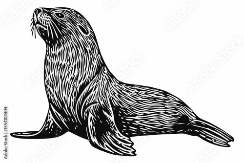 sketch, animal, bird, mammal, hand drawn, vector, dog, head, isolated on white, nature, illustration, drawing, wild animal, wildlife, tail, wings, legs, white, pet, black, beak, art, cute, pigeon, wil